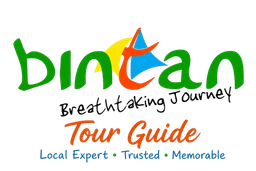 Logo partner
